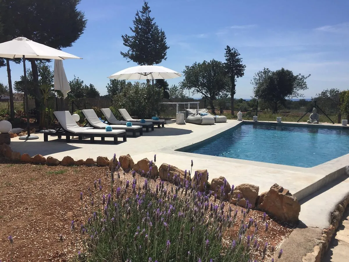 Can Bliss B&B Cala Llenya